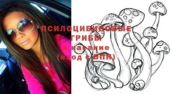 спиды Арсеньев