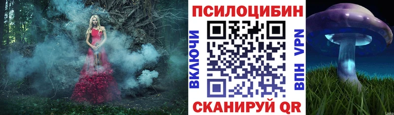 продажа наркотиков  Сертолово  Псилоцибиновые грибы ЛСД 